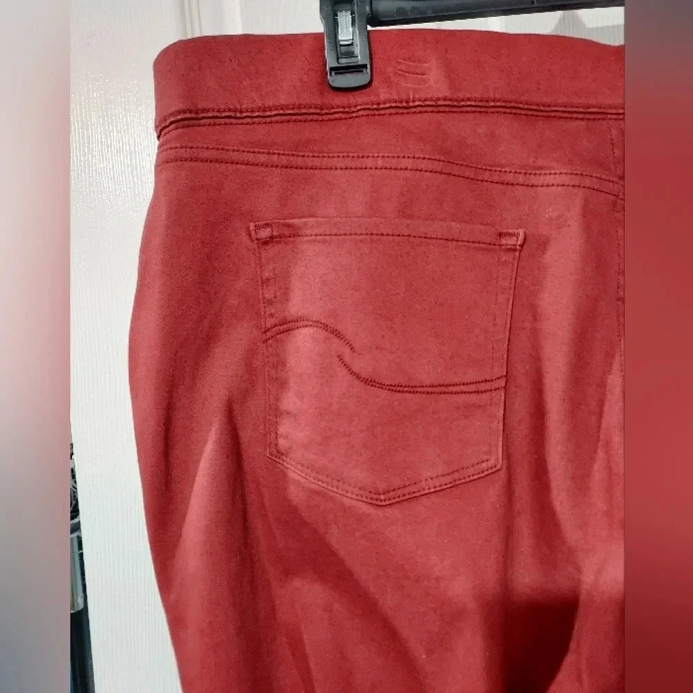 NWOT Signature Gold Levi Strauss Brick Pull-On Skinny Pants in Size 26 M W38 L30